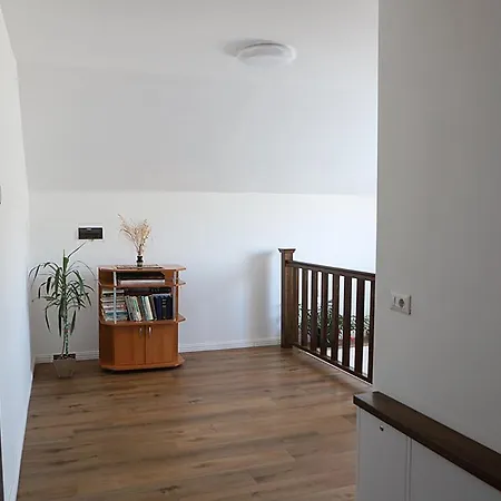 Casa Carmen Poienile Izei