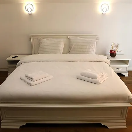 Guest house Casa Carmen Poienile Izei